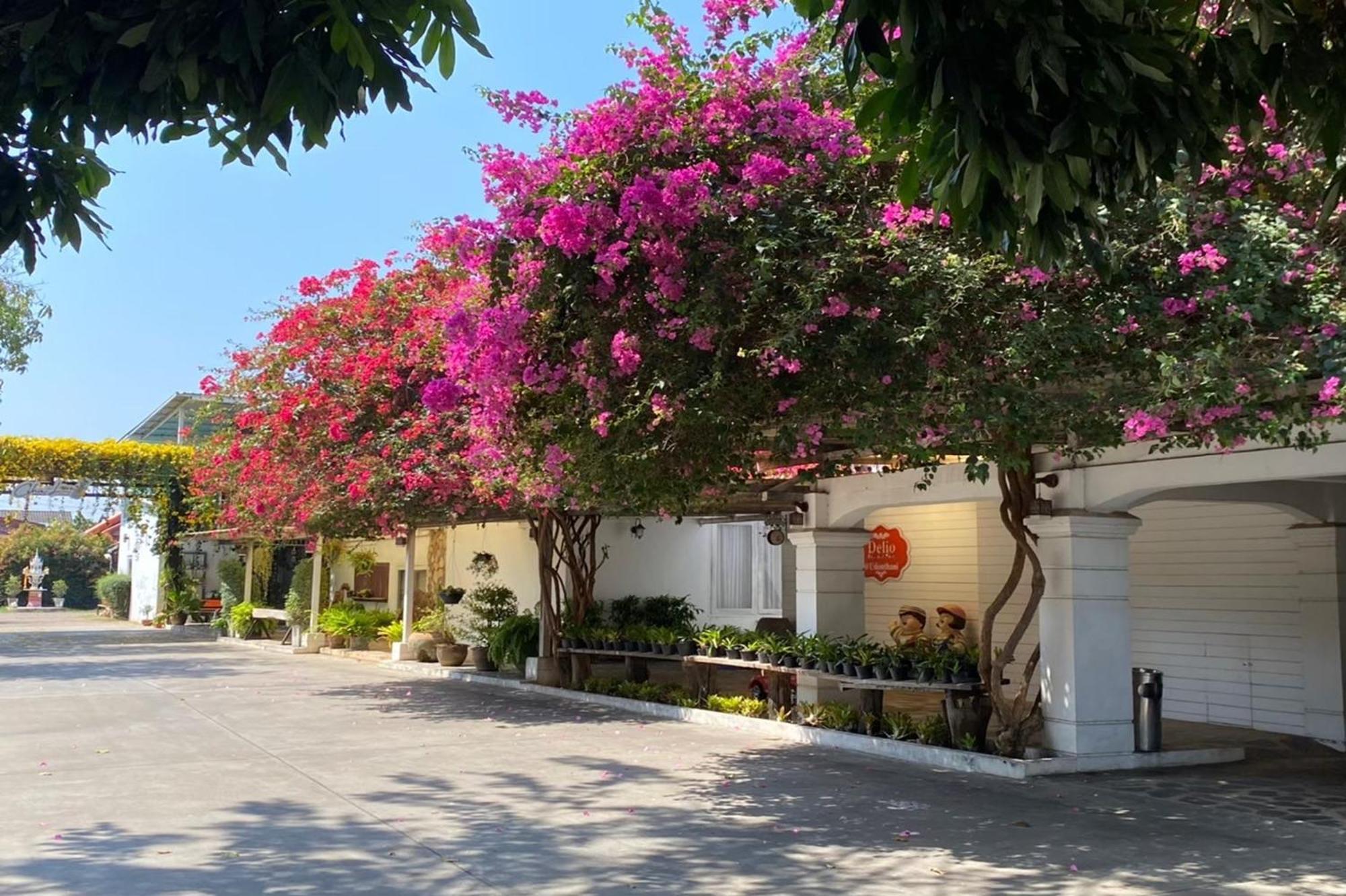 Delio Boutique Hotel Удон-Тхани Экстерьер фото